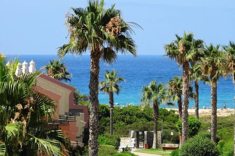 palmeras-playa
